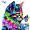 5dダイヤモンドアート 猫と蝶 5D ダイヤモンド塗装 モザイクアート ダイヤモンドペインティング キット ビーズ絵画 全面貼り付けタイプ ビーズアート モザイクビーズ 芸術品 装飾 DIY 手芸 キット 30x30cm