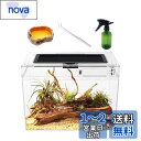 Reptile Growth 爬虫類 ケージ 透明 爬虫類ケージ 飼育容器 小動物用 カメ亀 タンク 両生類用飼育ケース 飼育ボックス 31*19*24cm, カメ、クモ、カエル、ゲッコ、カマキリ、ヘビ、サソリ、庵クラブ