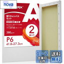 【送料無料】AUREUO 張りキャンバス セット P6 (41cmX27.3cm) 中目 100%コットン 2枚 初心者 絵画用具 芸術絵創作 現代油絵 美術装飾 水彩画・油絵画・アクリル兼用