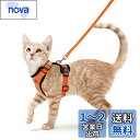 Rabbitgoo 猫 ハーネス リード セット 抜けない 猫用ハーネス ソフト胸あて 軽量 足を上げず装着完成 サイズ調節可 夜反射 通気メッシュ 咳込み防止...
