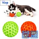 AUSCAT 犬おもちゃ 音が出るボール 噛むおもちゃ 中小型犬 知育玩具 頑丈 天然ゴム 犬用玩具 歯清潔 口臭予防 ストレス解消「橙緑ボール 2点 セット ...