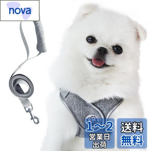 Miru pochi(ミルポッチ) 犬 猫 ハーネス 小型犬 超小型犬 子犬 リード セット 首輪 ソフト ペット 抜けない つけやすい くびわ 安全 軽量 反射 散歩 引っ張り防止 付き 調節 気管に優しい (グレー, XXS)