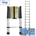 DayPlus 伸縮はしご 最長3.8 m (12.5 ft) 折り畳み伸縮梯子 多機能アルミはしご 持ち運びに便利 軽量 耐荷重150 kg 室内室外両用 自...
