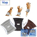 Luxja 犬用マナーベルト 男の子 メッシュ 防水 伸縮性 3点セット マーキング お漏らし オシッコ対策 お出かけ しつけ 介護用(L,黒+グレー+コーヒー...