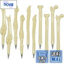 【送料無料】Maydahui おしゃれ 骨 ボールペン 油性 黒 0.5mm 10本セット かわいいドクター ペン ハロウィン 面白い 可愛い 文房具 医師 看...