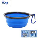 THAIN 犬 水飲み 携帯用 散歩用 折りたたみ式 ペット給水器 容量350ML シリコン製 コンパクト 水やり用品 持ち運び便利 ペットボウル カラビナ 付き 給水器 給餌器 旅行用 (ブルー)