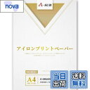 【送料無料】A-SUB アイロンプリントシート Tシャツ転写紙 熱転写 インクジェットプリンタ 白・淡色生地用 カッティングマシン使用 A4サイズ 10枚入り 洗濯に強い