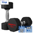 PROIRON 鋼 ダンベル だんべる 10kg 2個セット 鉄アレイ ダンベル ?? dumbelll set 家庭用および商業用に適しています