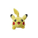 ポケモンセンターオリジナル ぬいぐるみ ランニングピカチュウ 20×15×22(H×W×D:cm)(3)