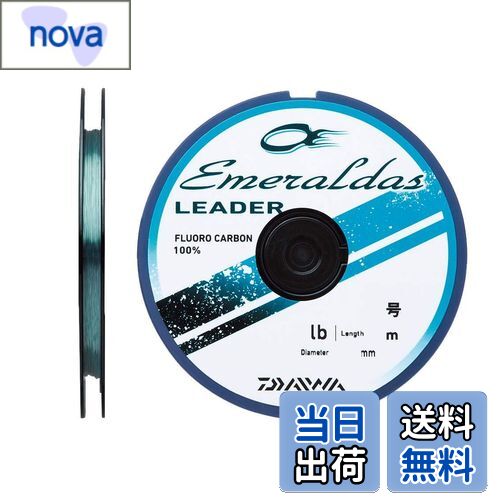 【送料無料】ダイワ(DAIWA) フロロライン エメラルダスリーダー 2.25号 35m ナチュラルグリーン