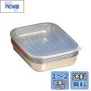 オークス 日本製 パパッと揚げ物 バット セット 22×16.8×3.7cm ステンレス TB11