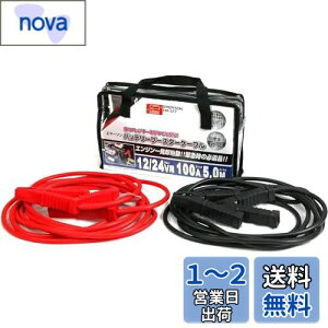 エマーソン(Emerson) 車用バッテリーブースターケーブル 12V 50A 3.5m ハイブリッド車救援端子対応 取っ手付き収納バッグ付き 【対応車種】軽自動車~中型自動車(1600ccクラスまで) EM-375