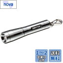 GENTOS(ジェントス) 懐中電灯 小型 LED キーライト 直径1.5cm 単4電池式 15ルーメン GK-001S シルバー ハンディライト フラッシュライト