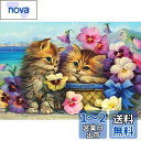 DIYクロスステッチキットダイヤモンド絵画5D塗装キット、素敵な猫の子猫の花WOWDECORフルドリルDIYダイヤモンドアートペイント数字油絵 (ネコ)