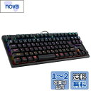 iClever ゲーミングキーボード 赤軸 テンキーレス 日本語配列 有線 91キー メカニカルスイッチ LEDバックライト Windows XP/Vista / 7/8/10対応 G01