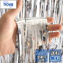 「2個セット」 Augsion タッセルカーテン キラキラ 背景 華やかな金属感 明るい光沢 誕生日 飾り付け 100cm*200cm パーティー 装飾 小道具...