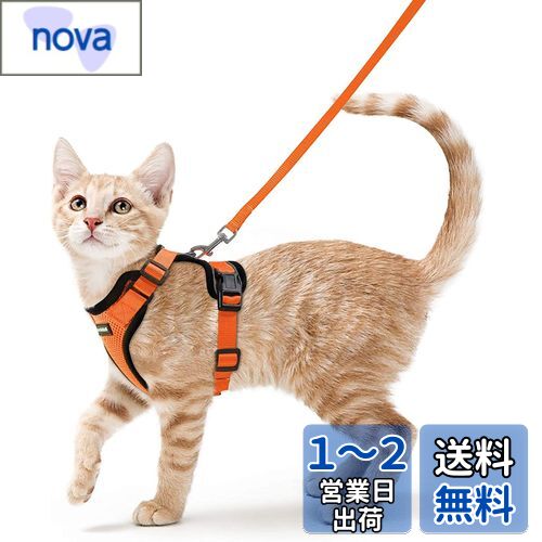 Rabbitgoo 猫 ハーネス リード セット 犬猫兼用 超小型犬 小型犬 抜けない ソフト胸あて 軽量 足を上げず装着完成 サイズ調節可 夜反射 通気メッシュ 咳込み防止 散歩 猫用ハーネス 猫 胴輪 りーど はーねす 散歩 紐 ひも (XS オレンジ)