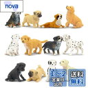 TOYMANY 12PCSミニ犬フィギュア ミニ動物フィギュア 動物フィギュアセット 犬モデル リアルな動物模型 犬おもちゃ 人気動物 玩具 誕生日プレゼント ...