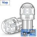 12V-24V車用 S25 ダブル球 LED レッド 爆光 テールランプ/ブレーキランプ 15連3030SMD BAY15D P21/5W LEDバルブ LEDランプ 汎用 高輝度 車検対応 国産車対応 (2個入り)