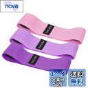 TheFitLife ヒップバンド 美尻 高耐久 トレーニングチューブ ストレッチ 内転筋 レジスタンスバンド トレーニング器具 エクササイズ 肌に優しい 筋トレ 軽量 フィットネス ヒップアップ ?力? 持ち運びやすい (ピンク/ラベンダー/パープル)