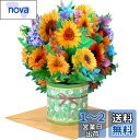 Kesote メッセージカード 立体 お見舞い 春 卒業 感謝 花 ひまわり ポップアップカード 紫陽花 飛び出す グリーティング バレンタイン 母の日 おしゃ...