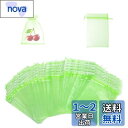 【BEAUTY PLAYER】果樹袋 果物保護バッグ 果実袋 防虫 ネット 家庭菜園 防鳥ネット 害虫鳥避け 通気性 光通過 メッシュバッグ 園芸工具 桃 イチゴ ミニメロン いちじく ぶどう用 農業用 巾着袋 (50枚入, 8cm×10cm)