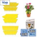【送料無料】捕虫シート、防虫シート、粘着シート、粘着性、防虫用品、24枚セット 、害虫トラップ粘着紙-黄色、粘着トラップ、防虫トラップ、トラップ粘着シート、無臭...