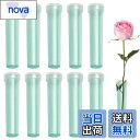 【送料無料】PAVIKEクリアフローラルチューブ 【10個】花チューブ 花の水管 クリアチューブ 透明 試験管 花瓶 生花保存容器、繰り返し使用でき、各種生花の...