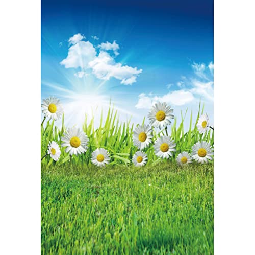 【送料無料】20221129nemhaikei