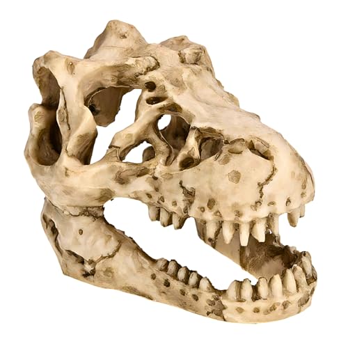 【送料無料】Charmoon 水槽 アクアリウム オブジェ 恐竜 化石 骨 隠れ家 シェルター オーナメント 置物