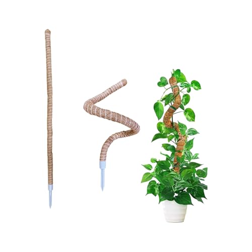 【送料無料】YOUSHY 園芸 観葉植物モンステラ 支柱 つる性植物 ココスティック 維持水分 養分維持 ココナッツ支柱 ガーデニング農業用 園芸用