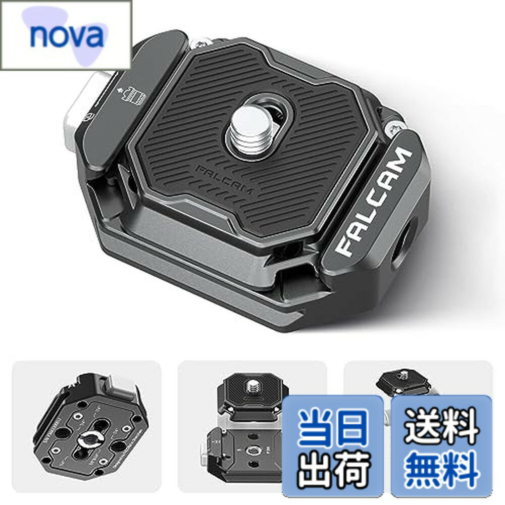 ������̵����F38�����å���꡼��