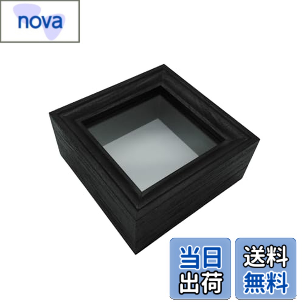 【送料無料】COZENTA 標本箱 シーラケース 昆虫 小型 木製 MDF