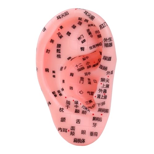 【送料無料】TVETE 耳ツボ 模型 耳 模型 耳つぼ 模型 耳 反射ゾーン 直感的 立体的 人体模型 耳 シリコ..
