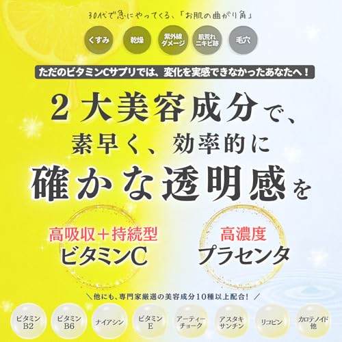 【送料無料】【高吸収＆持続型ビタミンC x 高濃度プラセンタ】Wリポトーン リポソームビタミンC 美容成分10種 栄養機能食品 マルチビタミン nova2021-10148723 nova サンプル画像3