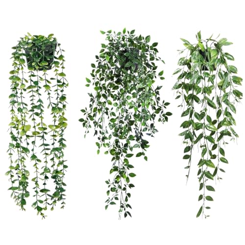 【送料無料】HOTQ フェイクグリーン 壁掛け 観葉植物 フェイク 吊るす エアープランツ 造花 サボテン ..