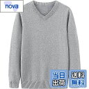 【送料無料】WOFOSY ニットセーター メンズ セーター vネック 長袖 ニット トップス 綿 無地 おしゃれ 大きいサイズ ビジネス カジュアル SY158
