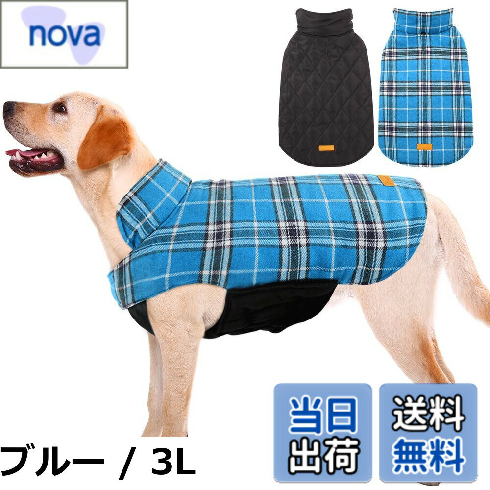 ������̵����Kuoser���� ���ѥ����� �ɴ������� ���㥱�å� �ݲ� ���� ���� ξ���� ���泫�� �����å��� �֥�ƥ��å��她������ �����緿��Ŭ�� ��æ��...