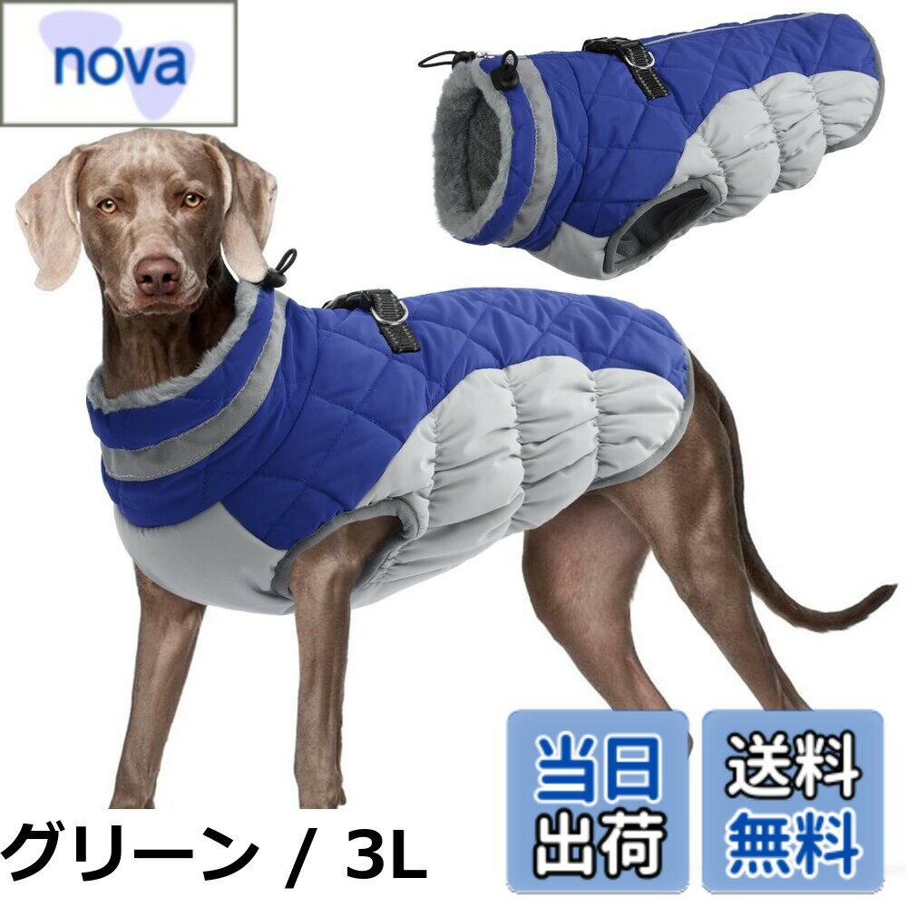 ������̵����Kuoser���ѥ��㥱�å��ɴ������� ���� �ɿ� �Ȥ��� �����緿��Ŭ�� �ե����ʡ��դ� ��æ��ñ ������ ���к� ���������� ���ѥ����ȥɥ�������