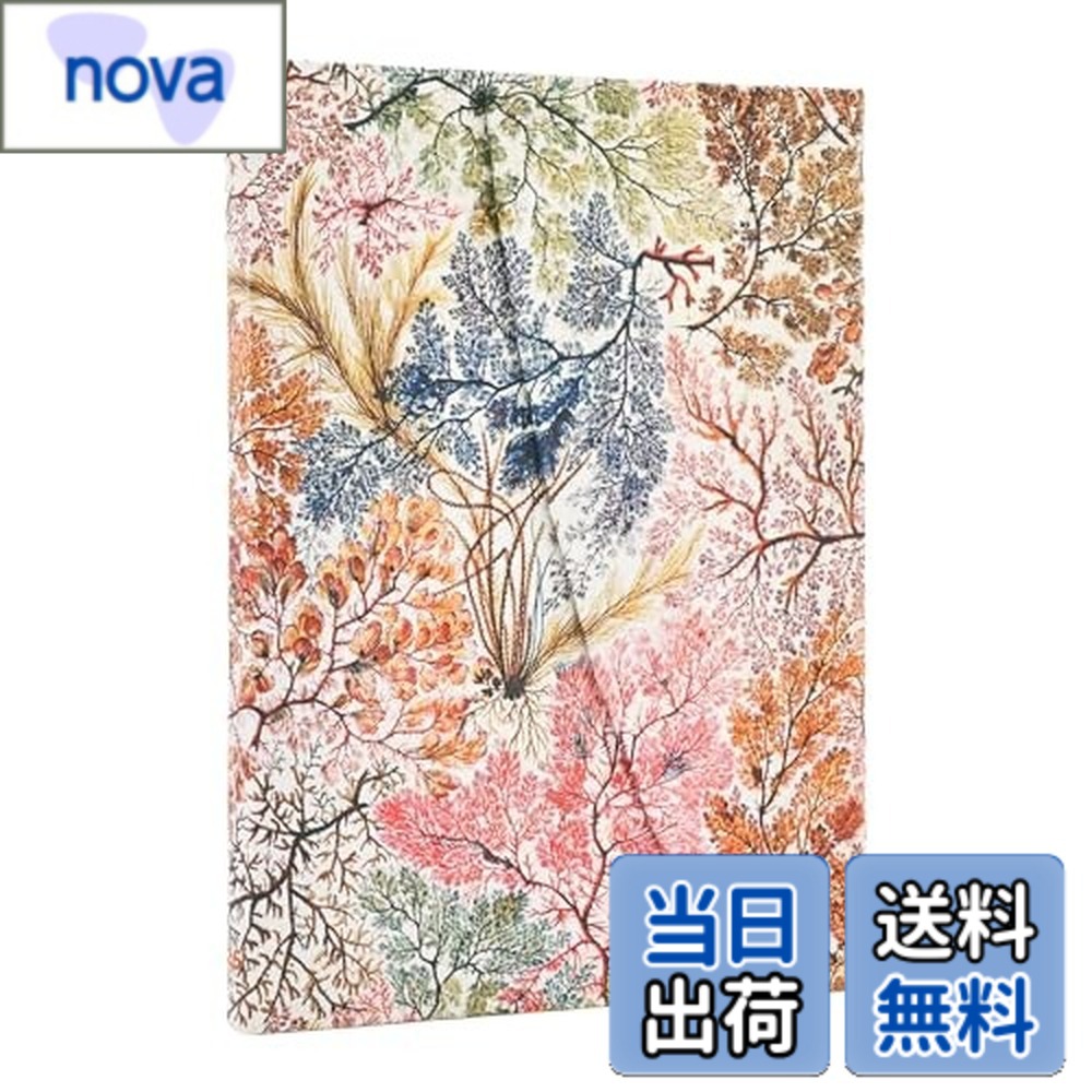 【送料無料】Paperblanks/ペーパーブランクス 2026年度版ダイアリー ハードカバー ミディ アネモネ DJ1210-9