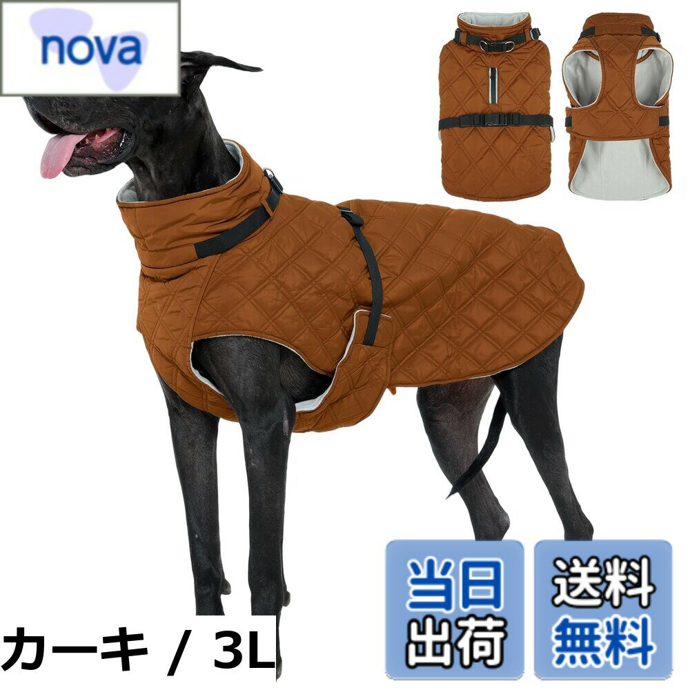 ������̵����Kuoser���ѥ����� �ɴ����㥱�å�