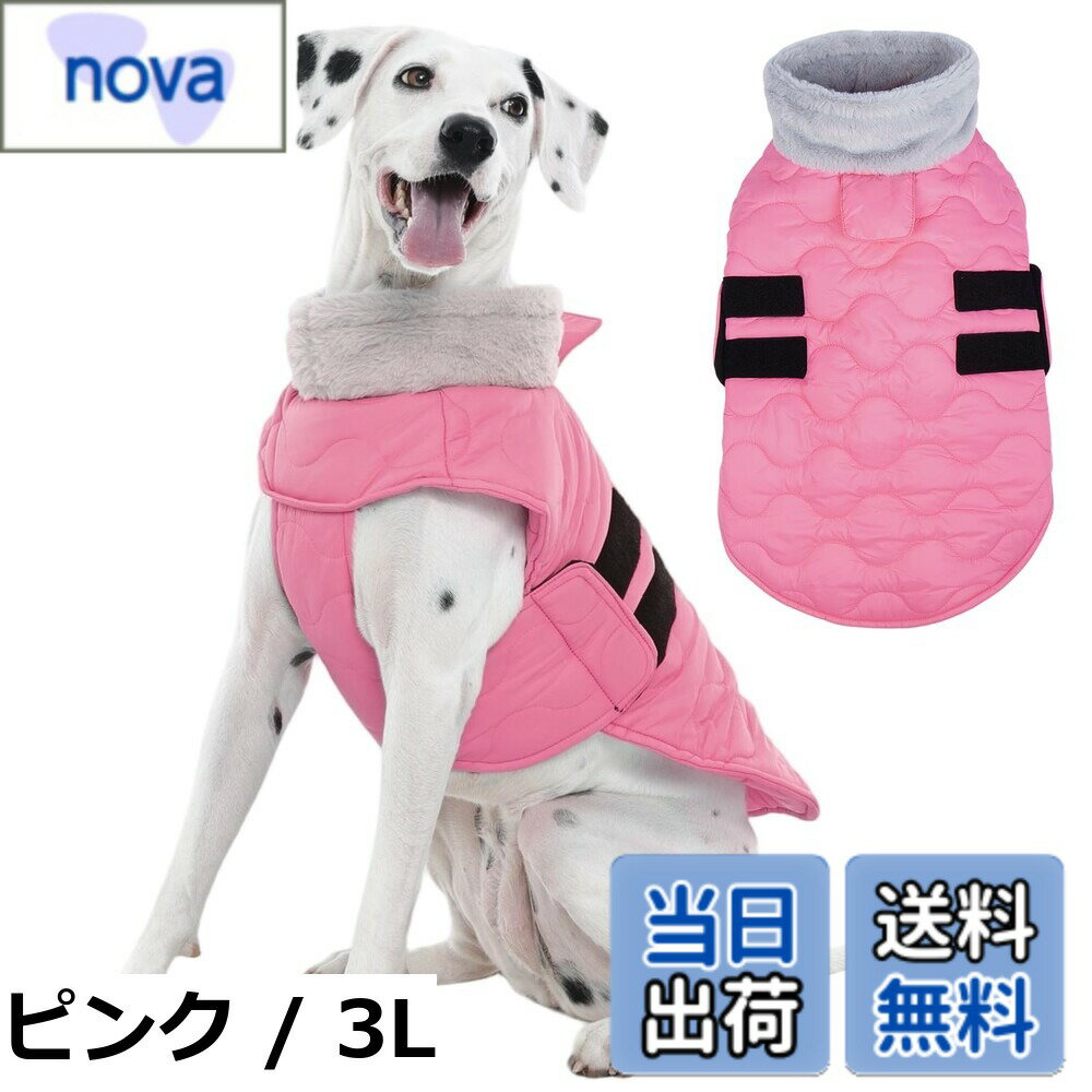 ������̵����Kuoser���� �ɴ������� ���㥱�å� �ե꡼���� �ϡ��ͥ��꡼�ɥۡ��� �ޥ��å��ơ������� �ɿ����� ���� ��Ŭ ������� �ɥå�������