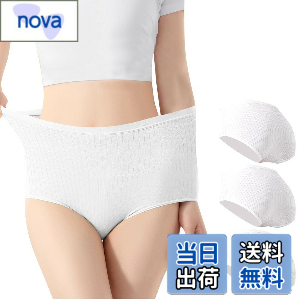 ������̵����[RONGUI] �礭�������� �Ȥ��Τƥѥ�� ������ ���� �� 3�祻�å� ι�� ��ǥ����� ���硼�� ���� �ɺҥ��å� �����ۥ磻�ȡ���������3...