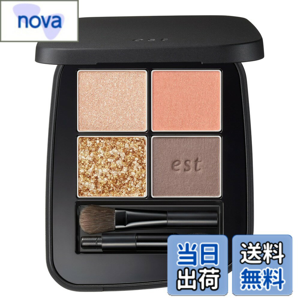 Est - 【送料無料】est(エスト) トランスフィア アイカラー EX01 【アイシャドウ】 グレイッシュパーシモン 色：コーラルオレンジ