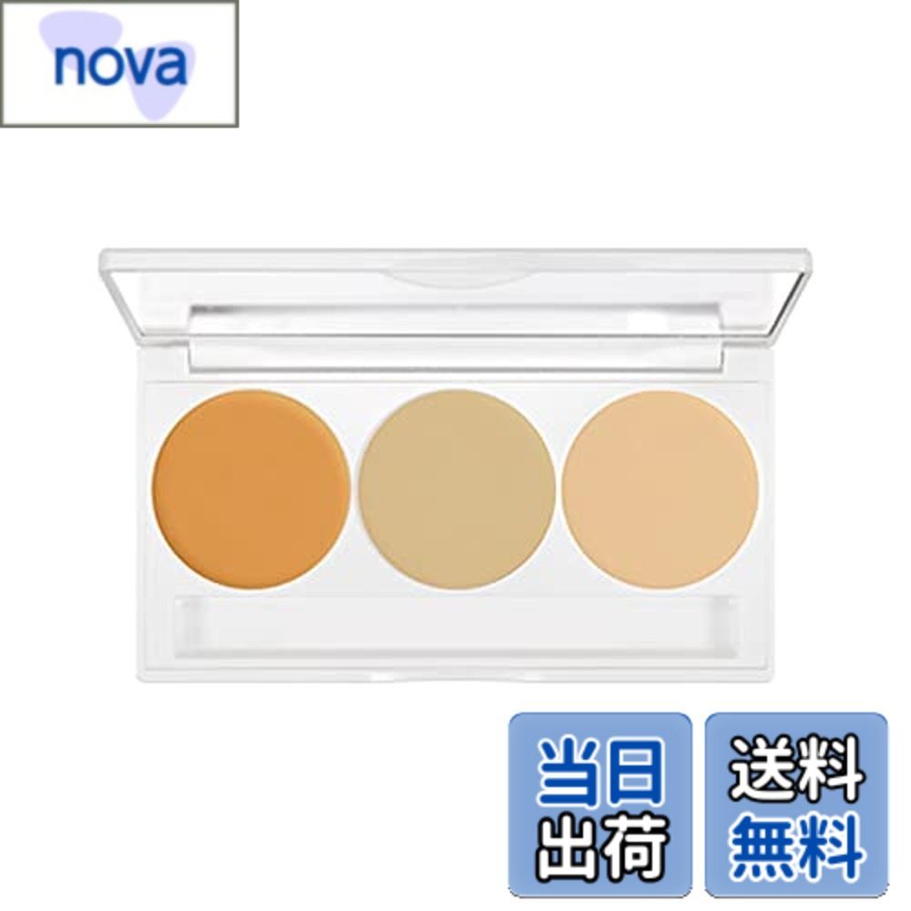 【送料無料】ダーマカラーパーフェクトコンシーラーパレット （シミ・ソバカス・アザカバー コンシーラー） 色：ベージュ、サイズ：10グラム (x 1)