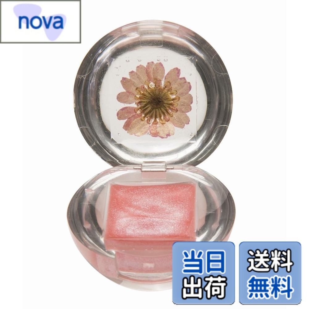 【送料無料】BLOSSOM(ブロッサム) ブロッサム リップグロス DUO ピンク(クリア4g/カラー4g) ラズベリーの香り PINK 4g+4g 色：PINK、サイズ：4g+4g