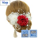 【送料無料】【JZOON 髪飾り】髪飾り 6点セット ヘアアクセサリー ヘアメイク ドライフラワー Uピン ヘアピン 可愛い 日常 おしゃれ 簡潔 和装 着物 ...