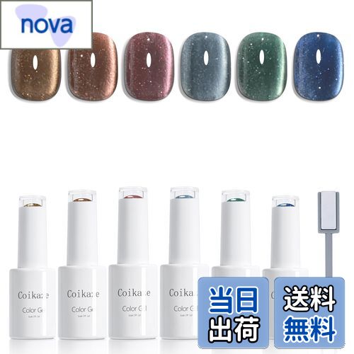 【送料無料】Coikaze マグネットネイル ジェルネイル マグネットジェル ラメジェル カラージェル キャ..