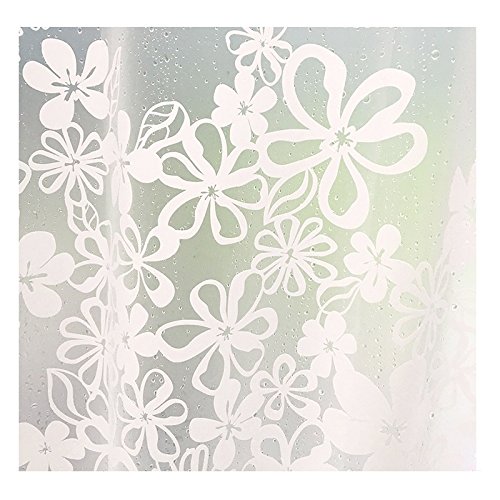 ������̵���ۥ��������ƥ� �Х������ƥ� �ɿ��ɥ��Ӳù� ��Ϥ ������� �ܱ��� �ֻ��ڤ� �ݲ� ����դ���ñ �����򤤲���������������180 cm x ��120 cm (1����)