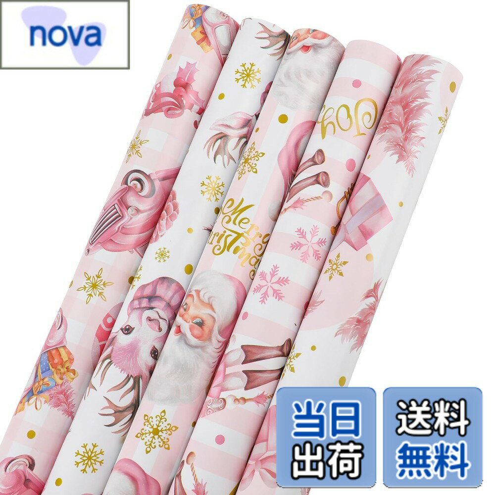 ������̵����CCINEE ������ ���ꥹ�ޥ� ��åԥ� �ڡ��ѡ� ��Ƚ ������� �礭�� ���� �ǥ����� ������ �ץ쥼��� ���� �İ��� ����� �����ȥڡ�...